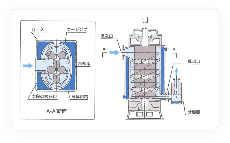 縦型ドライルーツ式真空ポンプ AVPシリーズ A-A’断面図